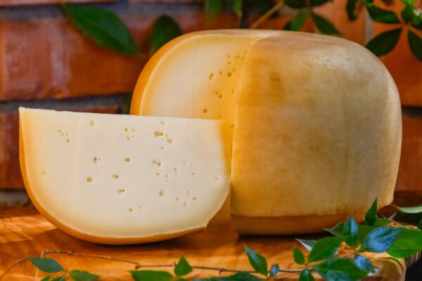 Ser GOUDA smarowany piwem
