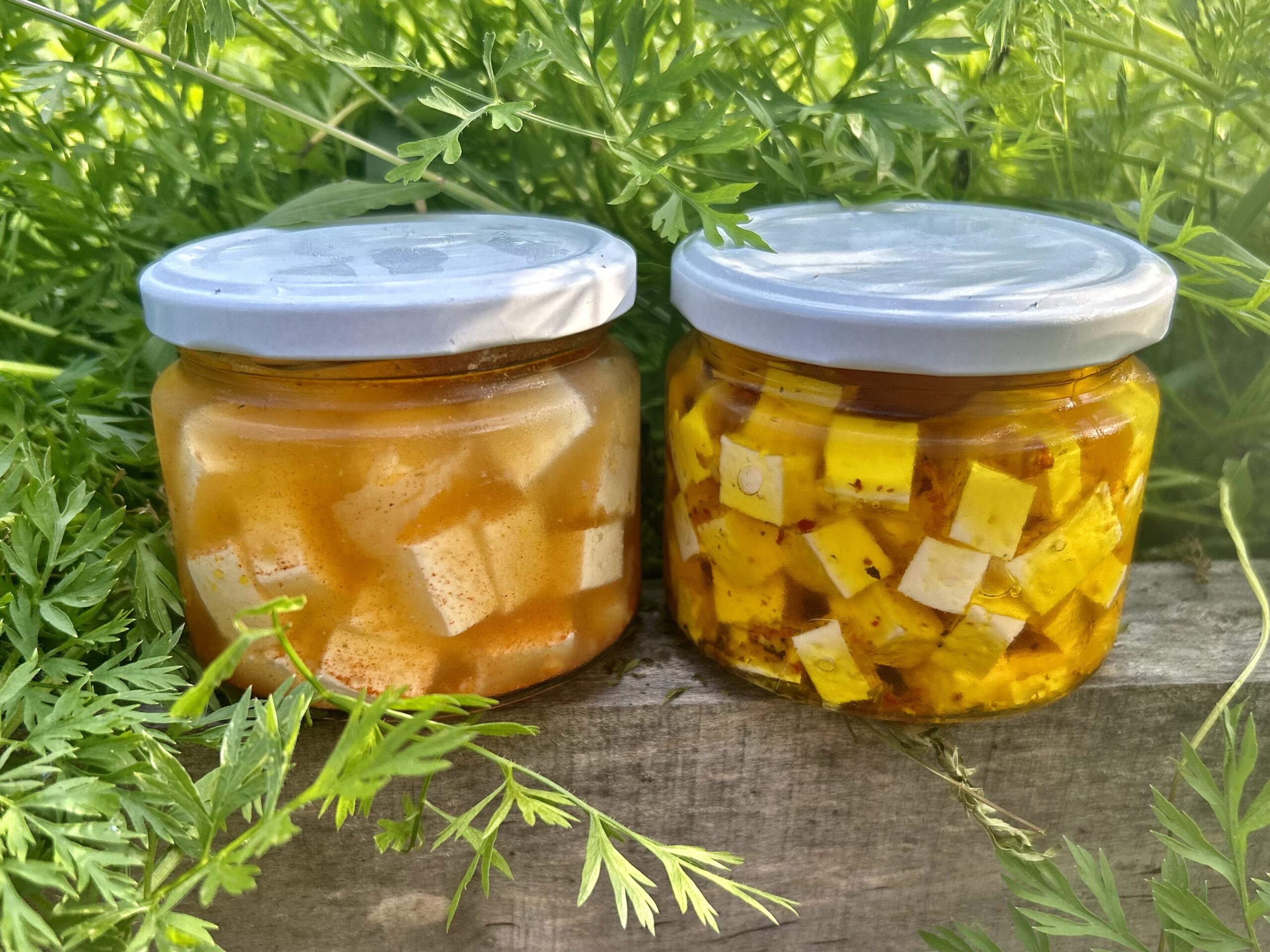 Ser FANVITA w zalewie słoik 150g - obrazek 3