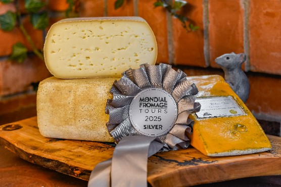 18f7767f8f243f0833a3d88a39134635