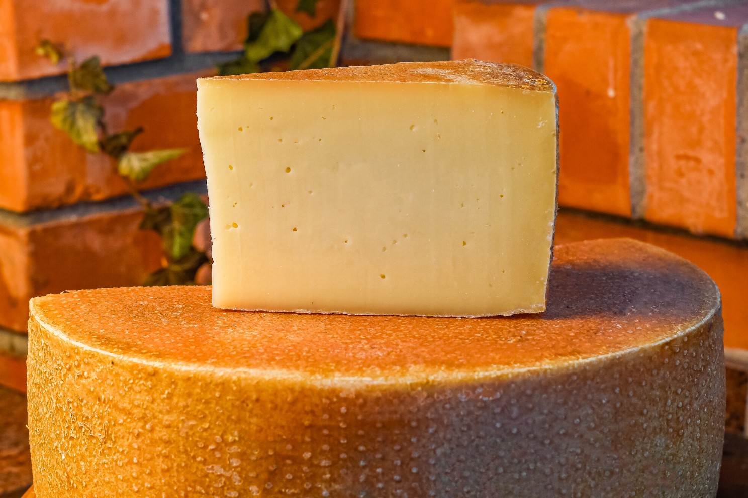 a333fd193743c58cefd29194e68b356b