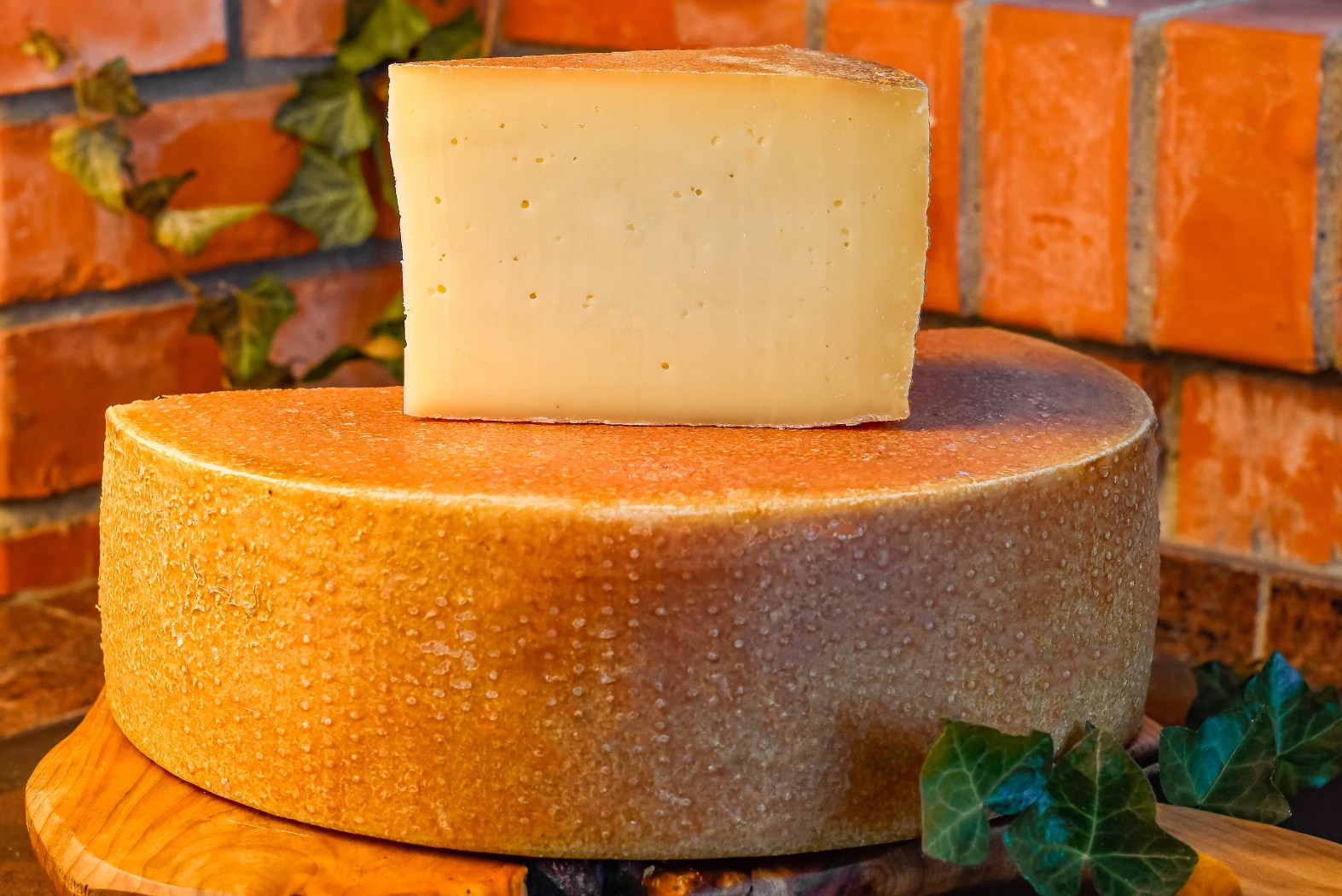 9cd1d4dc0df1c91f3d0183754c590a1e